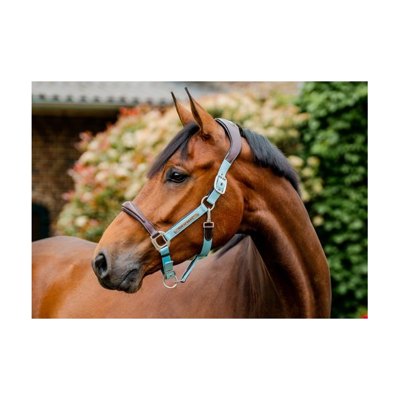 Horseware Signature Competition Halter - Brown/Blue Haze