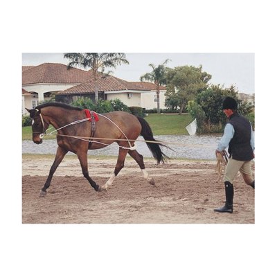 Pessoa Lunging System - Natural