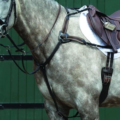 Collegiate Essential 5-Point Breastplate - Brown