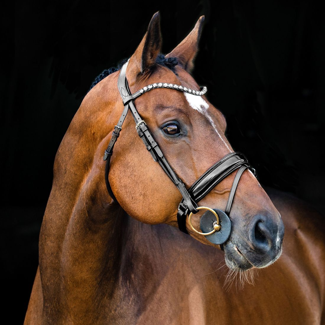 A bay horse in a black Horze bridle with a crystal browband