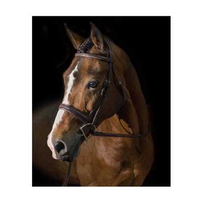 Pessoa PRO Fancy Stitched Wide Noseband Bridle - Dark Brown