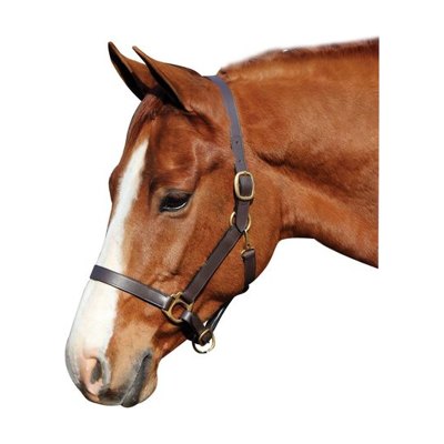 Henri de Rivel Advantage Leather Halter - Havana