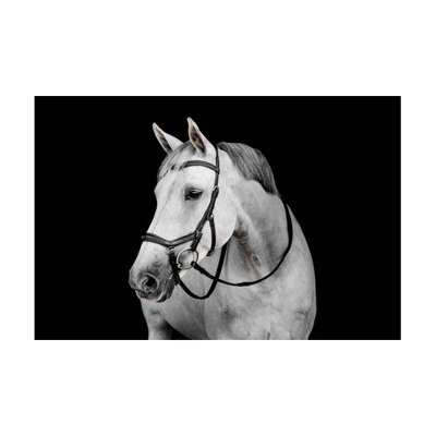 Horseware Micklem Deluxe Competition - Black