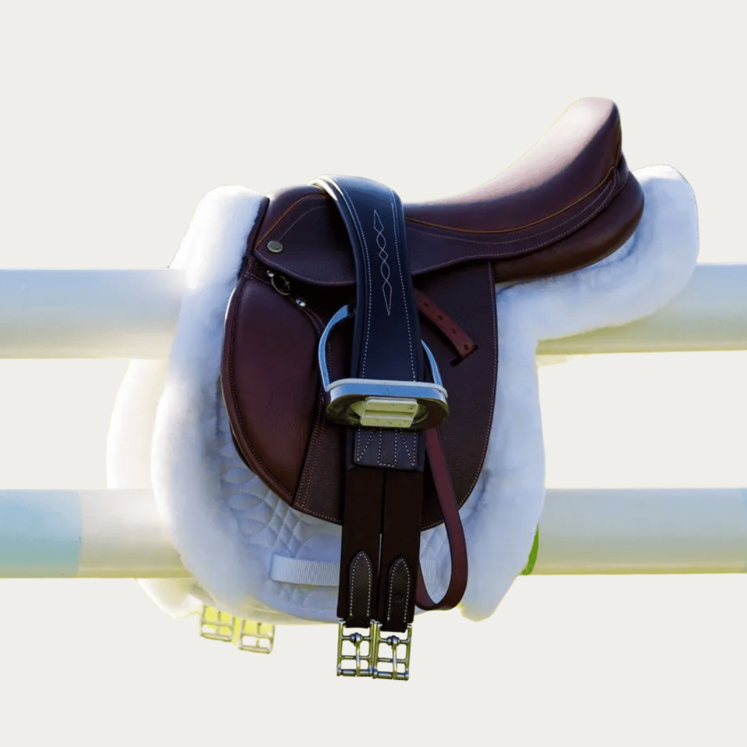 Saddles, Girths & Accessories