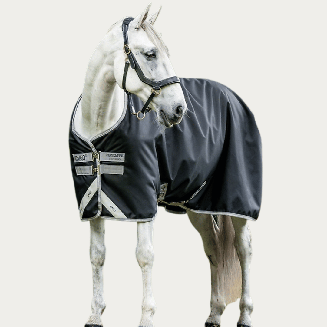 Shop for Turnout Blankets for Less