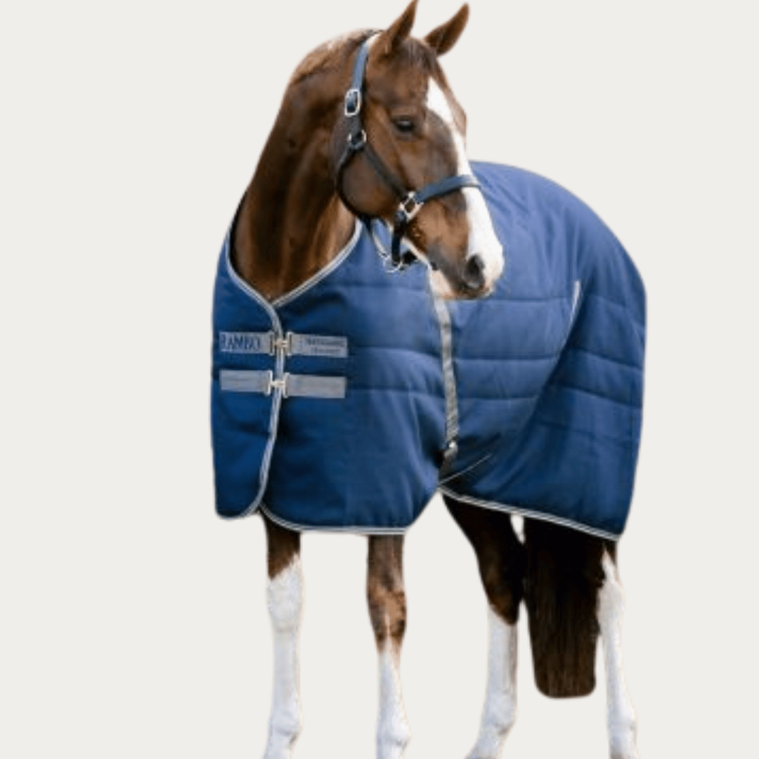 Shop for Stable Blankets 