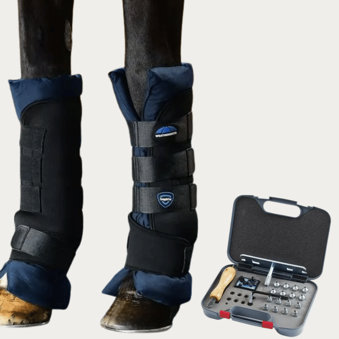 Horse Boots & Studs