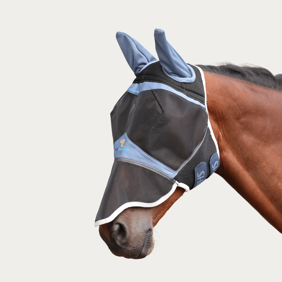 Fly Masks