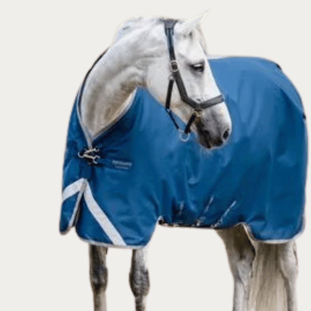 Therapy for Horses