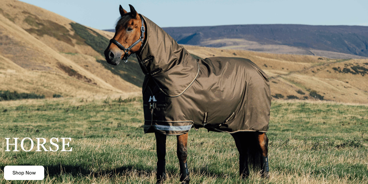 Horse - Everything for your Horse up to 80% Off 