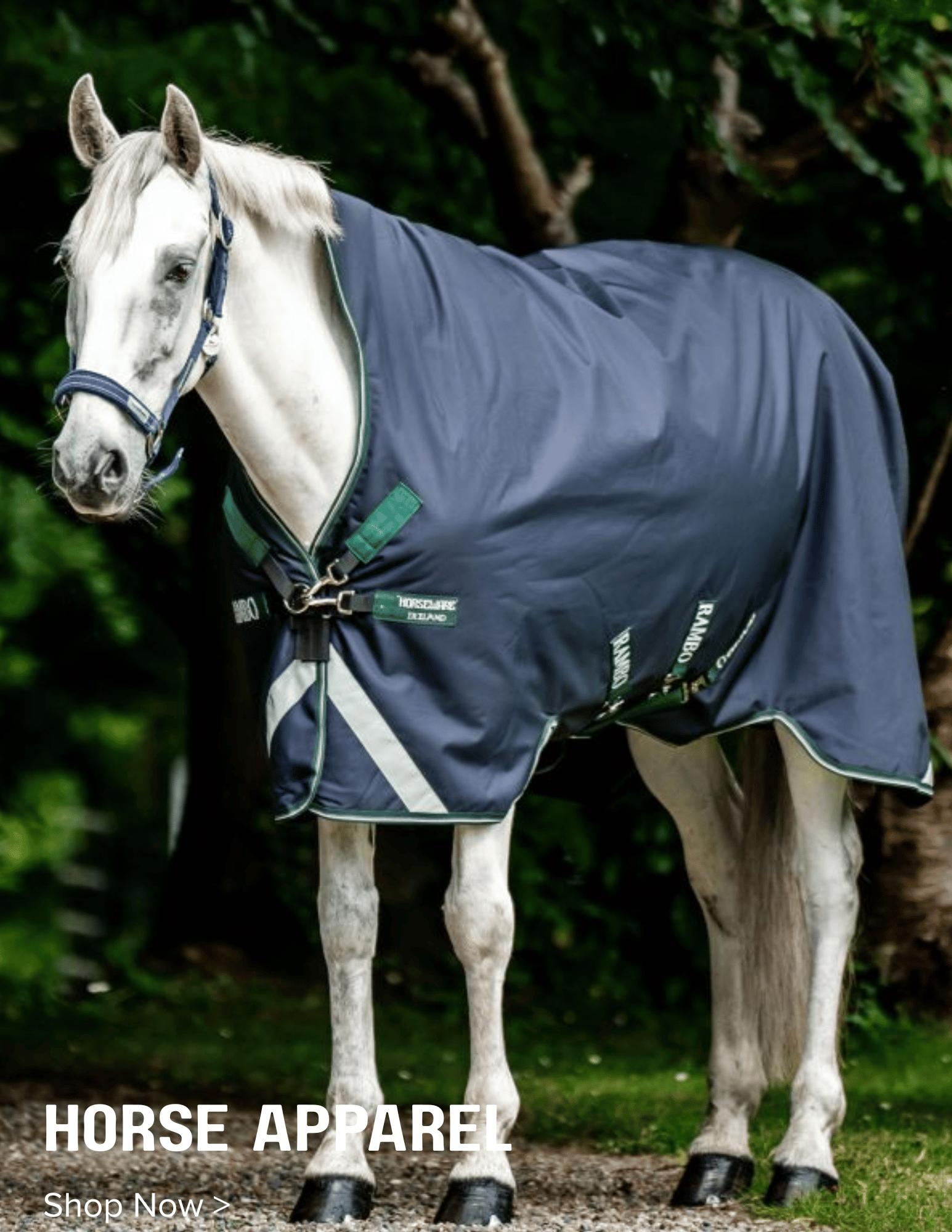 Shop for Horse Apparel from Top Brands