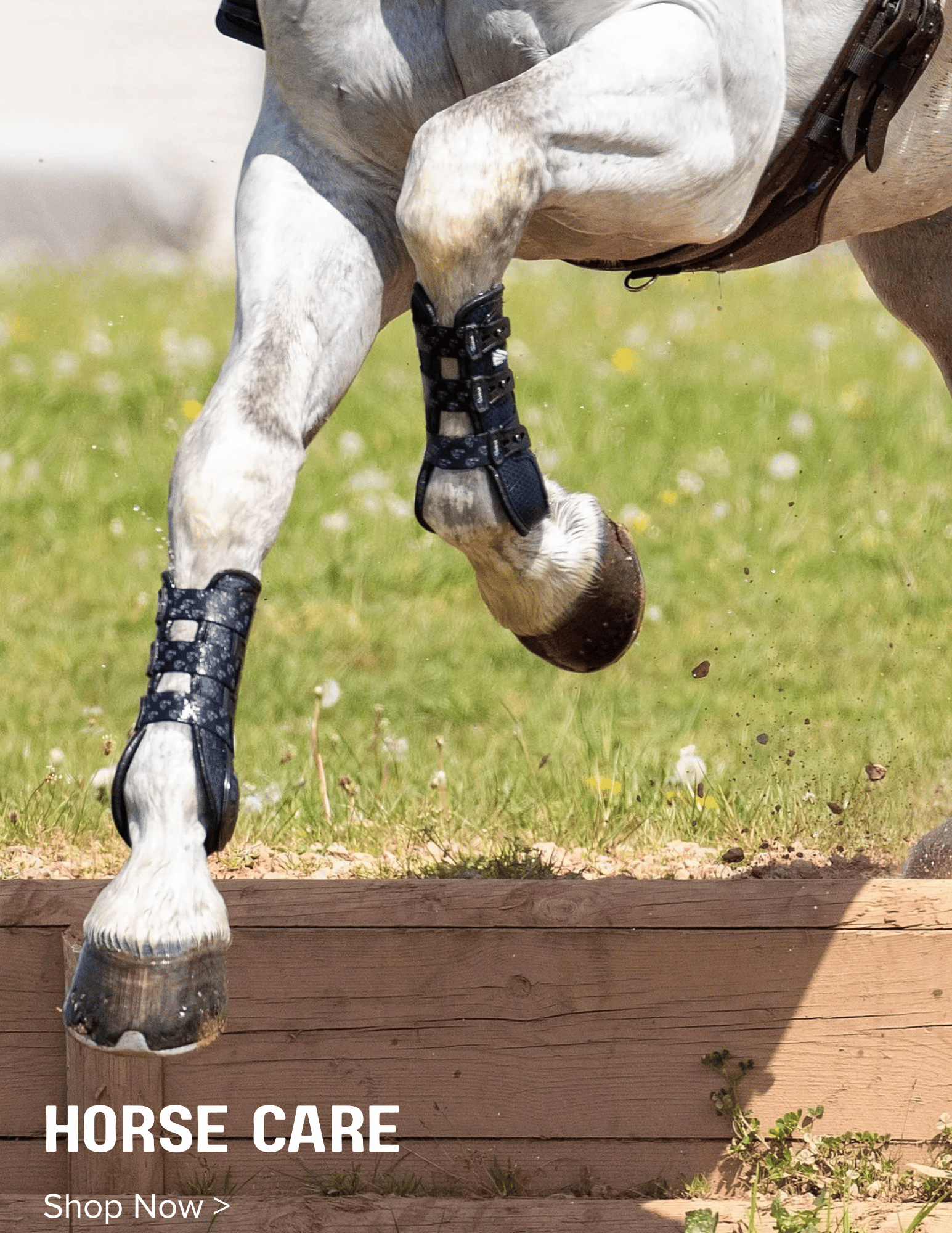 Shop for Horse Care, Horse Leg Protection.