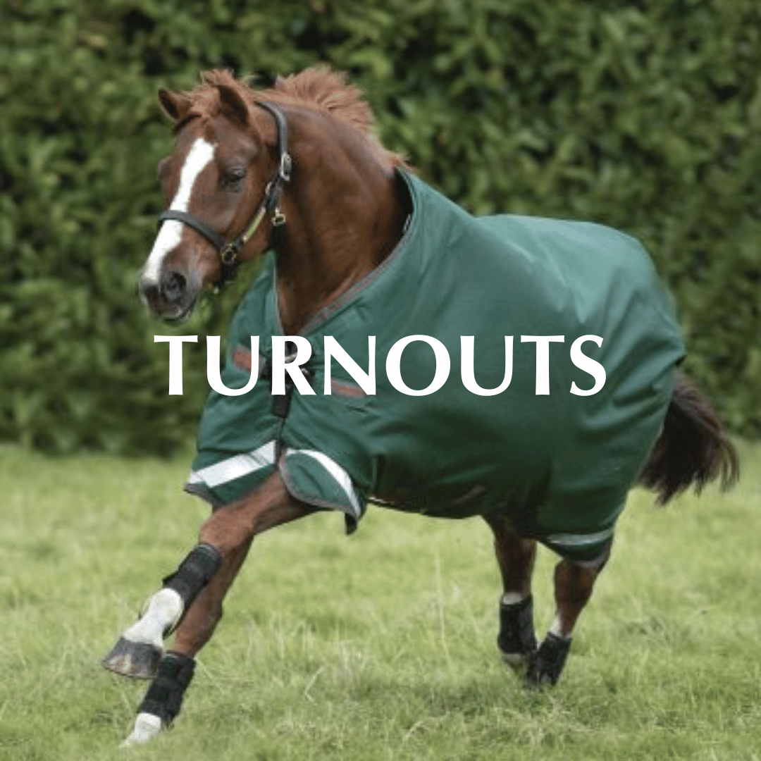 Amigo, Rambo, Rhino, Horseware Turnouts