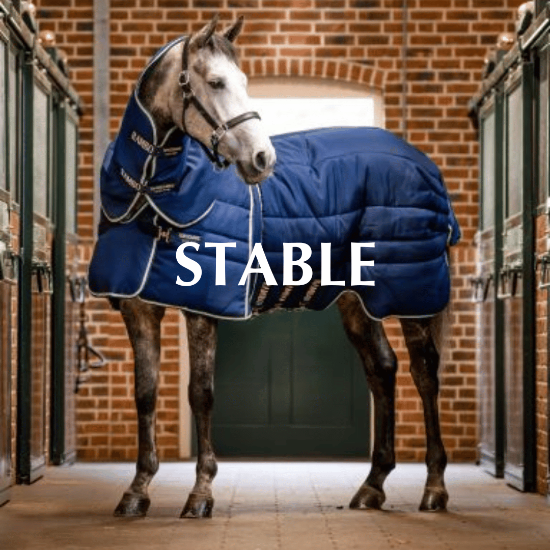 Stable Blankets - Horseware Brands