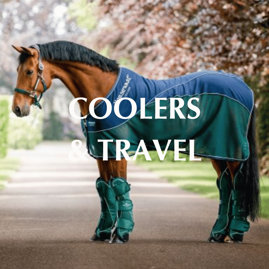 Coolers & Travel