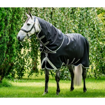 Amigo Bravo 12 Plus Turnout 250g