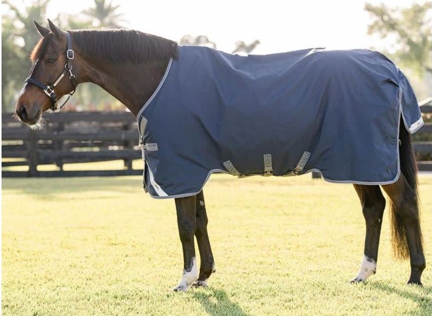 Horse in a Rhino turnout, showing the measurement from the center of the chest across the point of the shoulder to the center of the tail