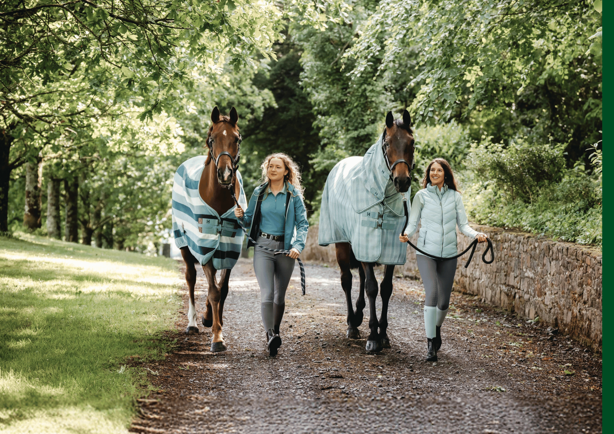Horseware Newmarket Dynasty Collection