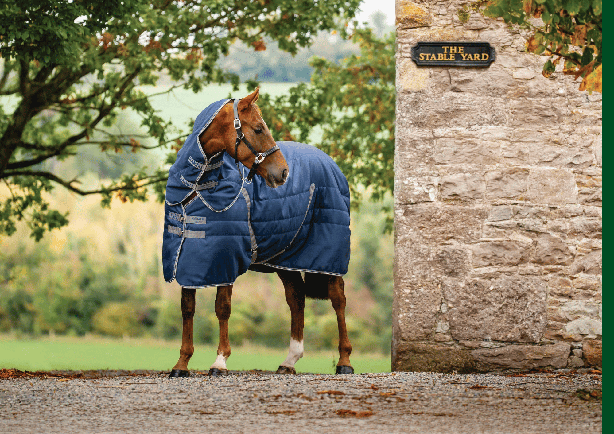 Rambo Stable