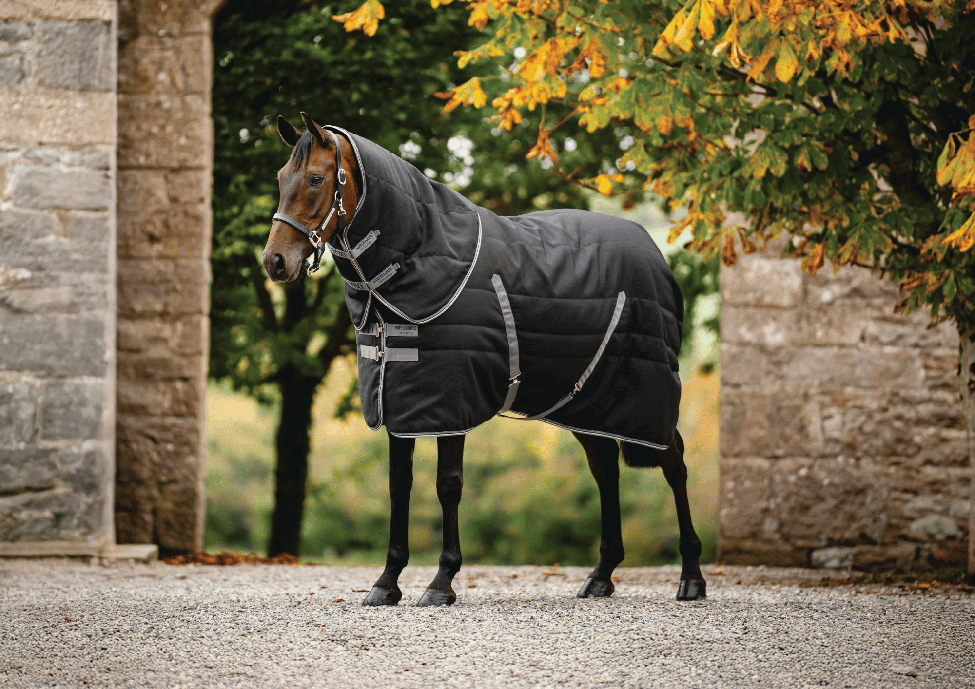 Rambo Stable