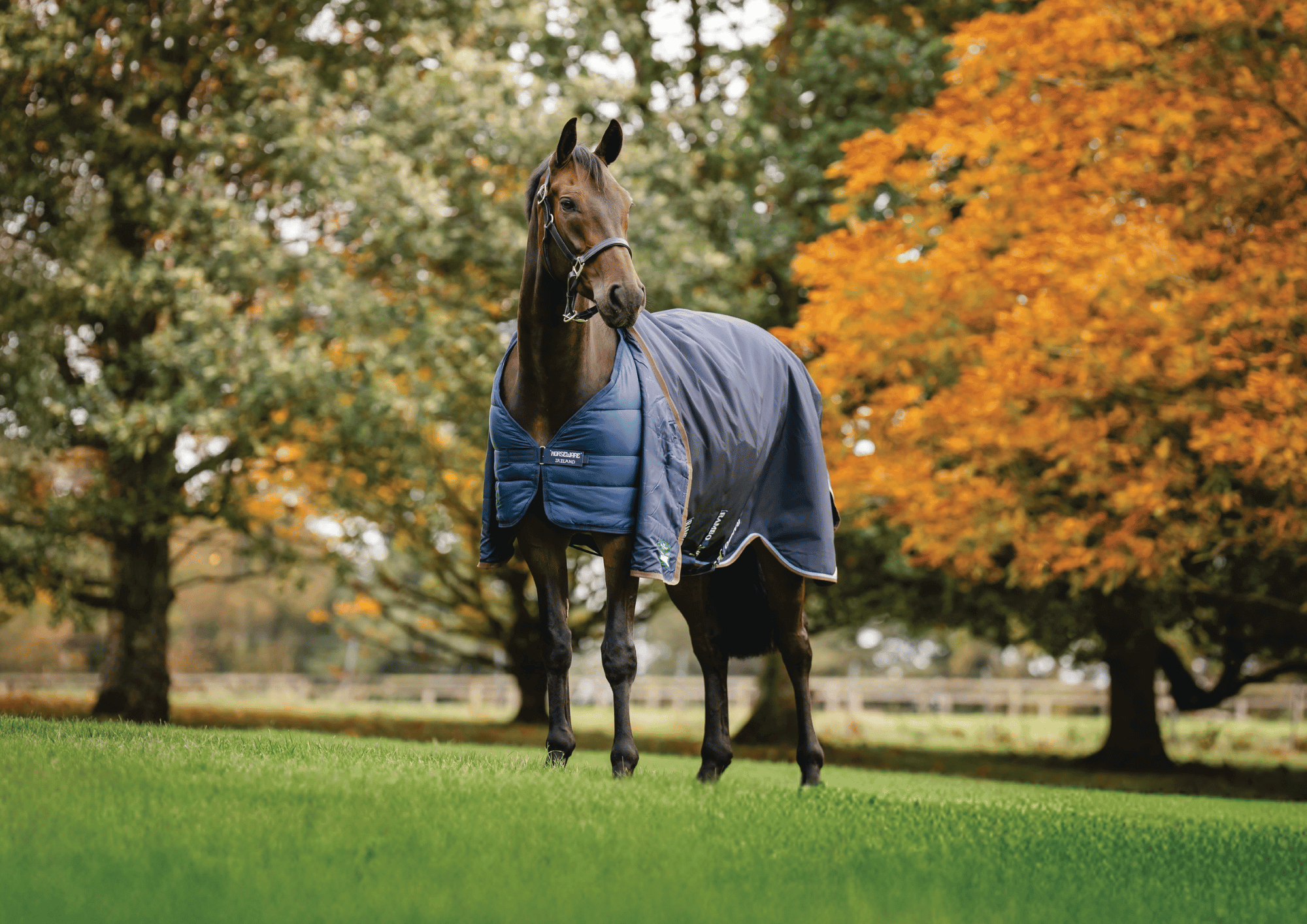 Horseware Liner