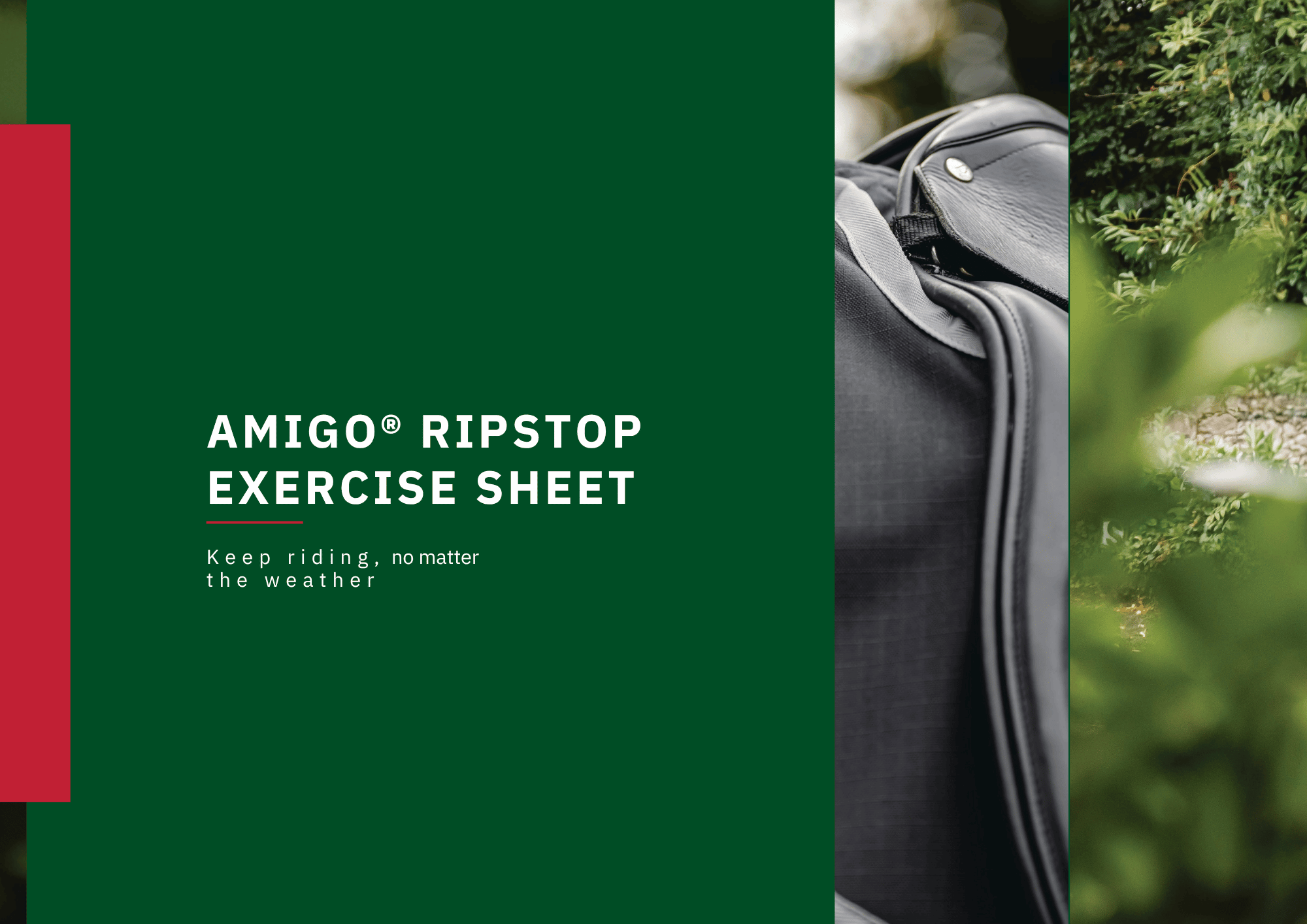 Amigo Exercise Sheet