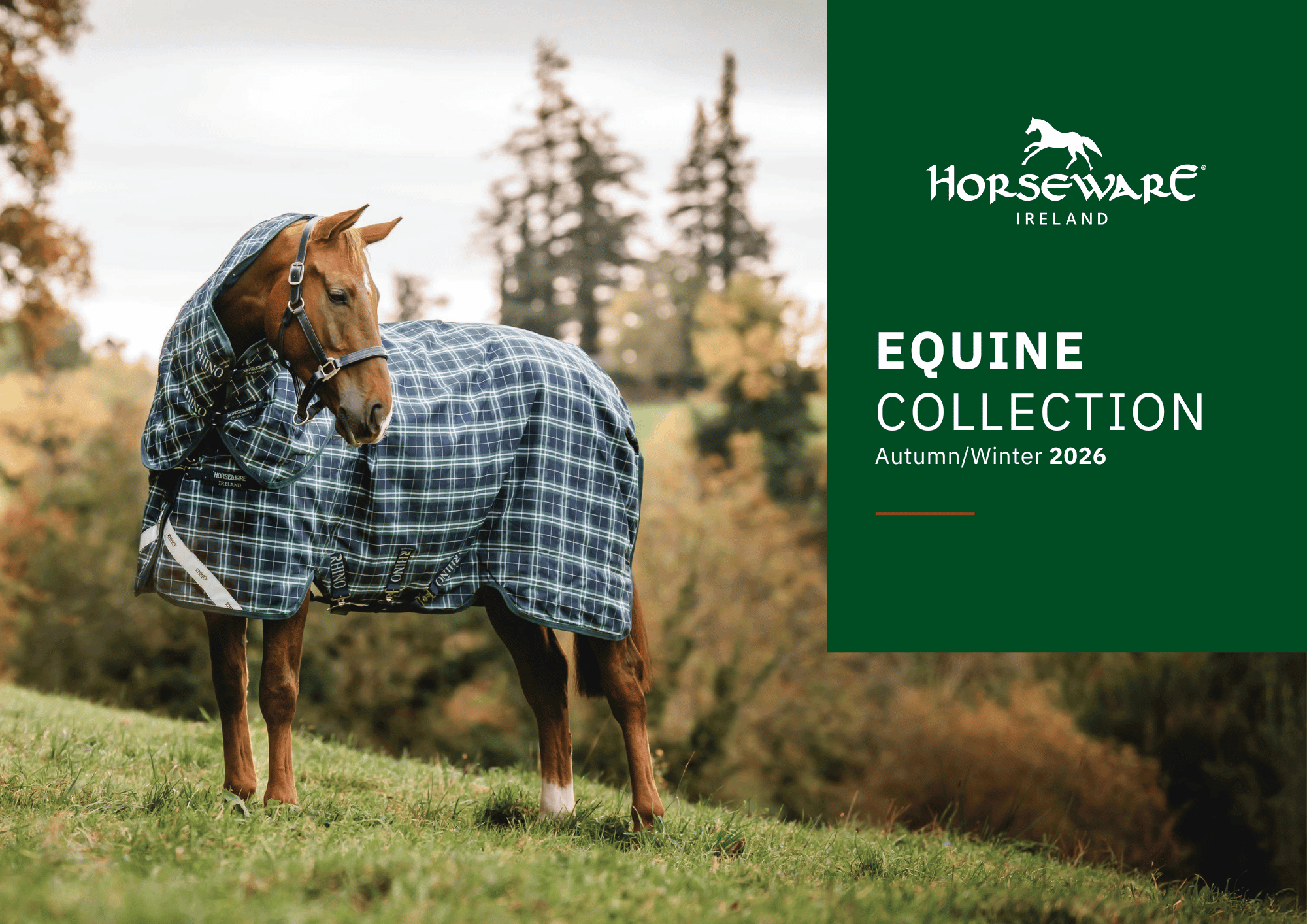 Horseware AW26