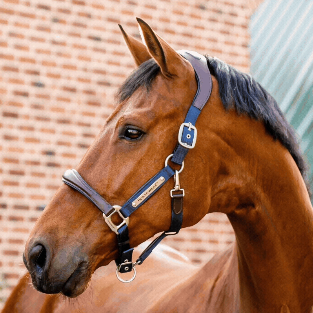 Horseware Signature Competition Halter