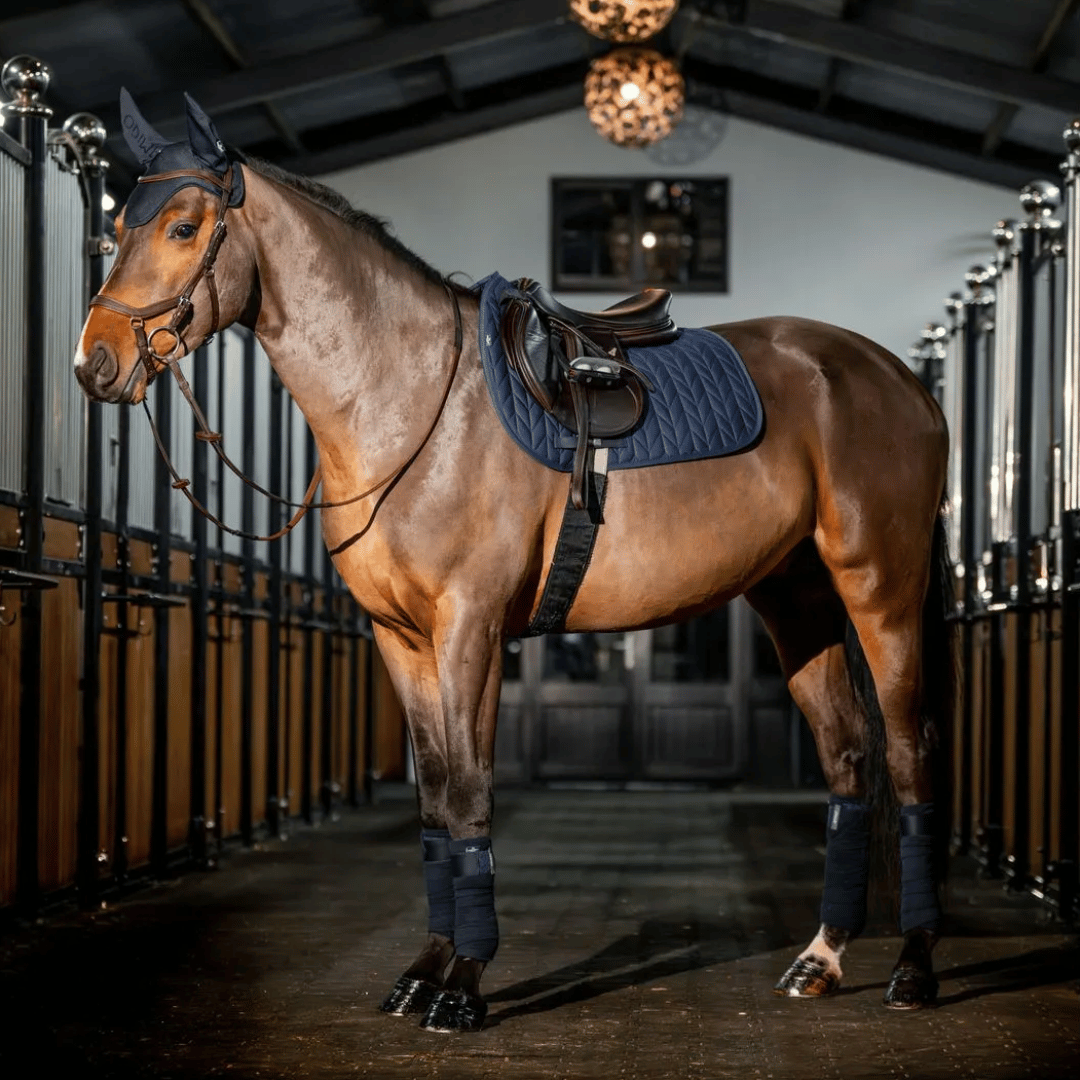 Amigo Jump Saddle Pad