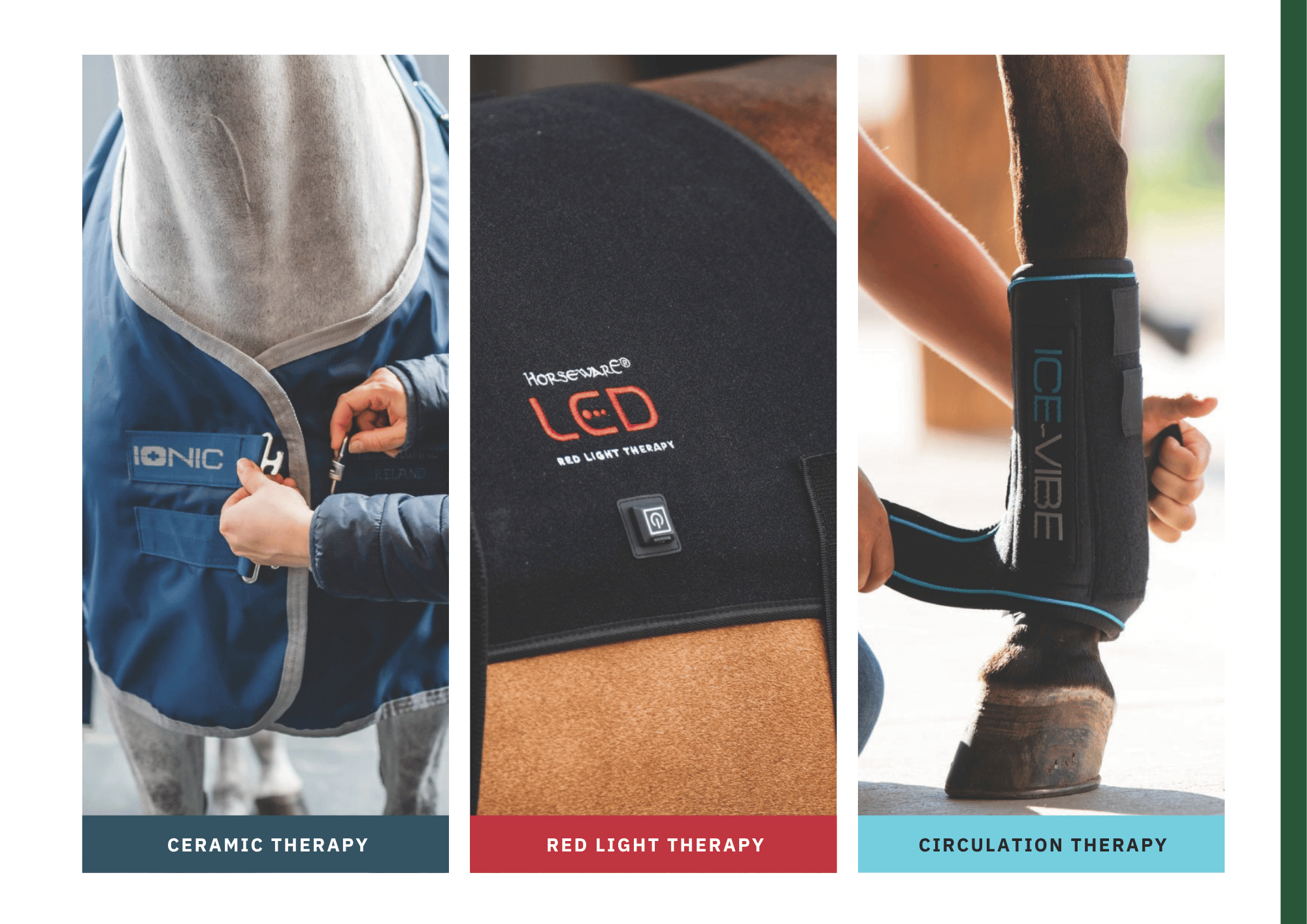Horseware Therapy Collection