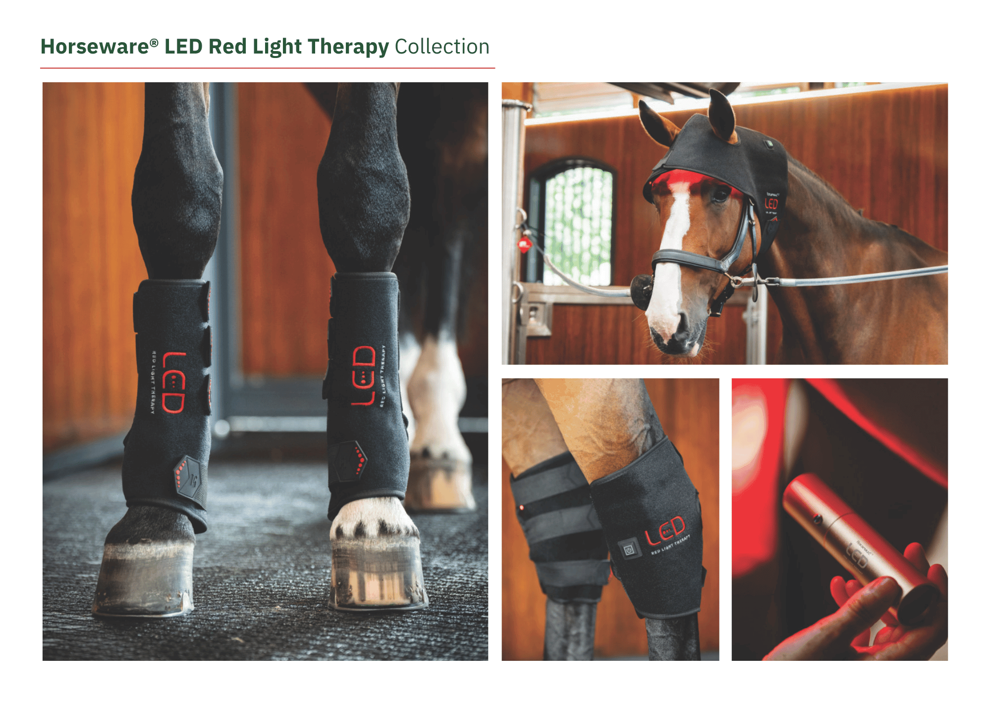 Horseware LED Red Light Therapy Collection