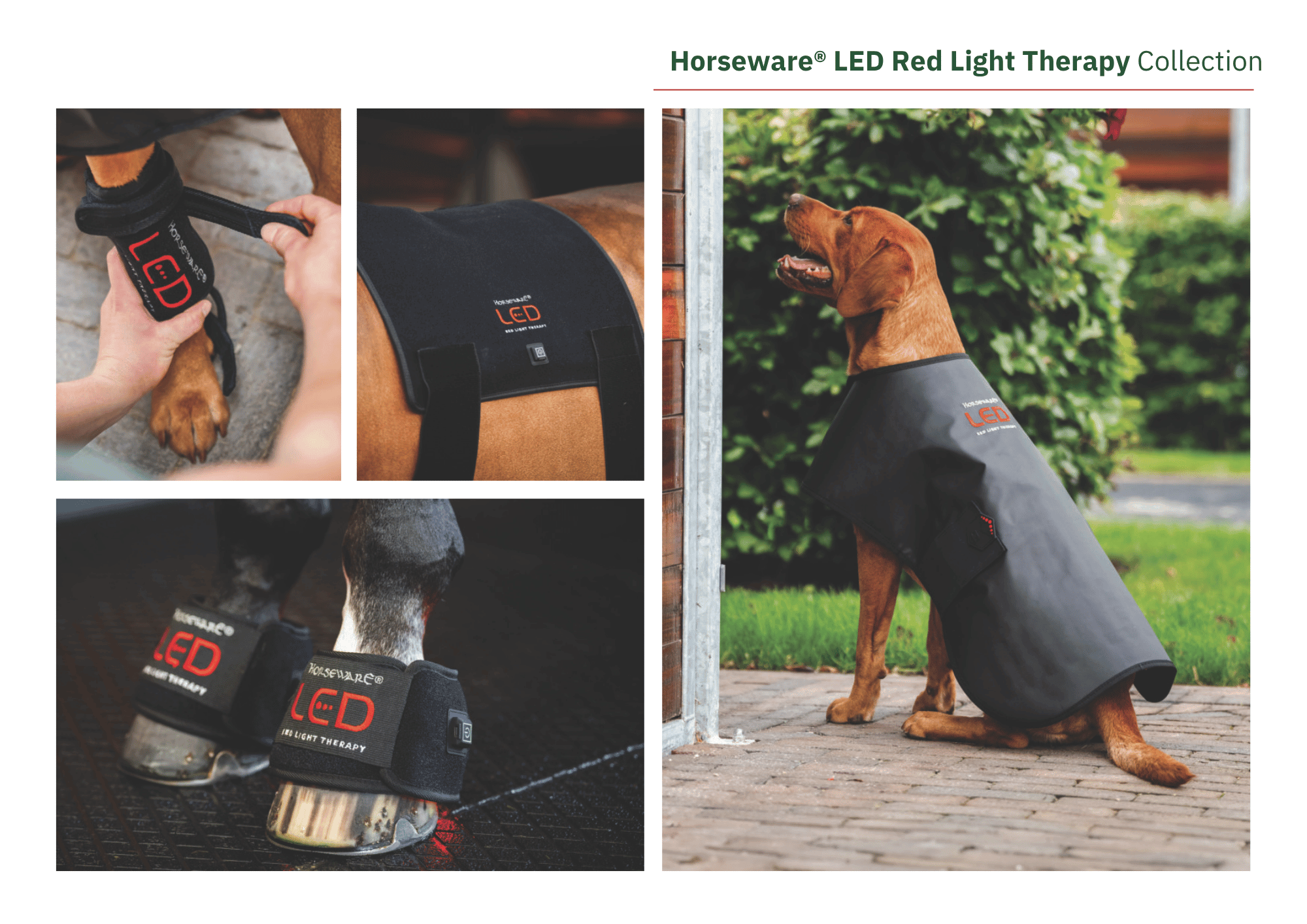 Horseware LED Red Light Therapy Collection