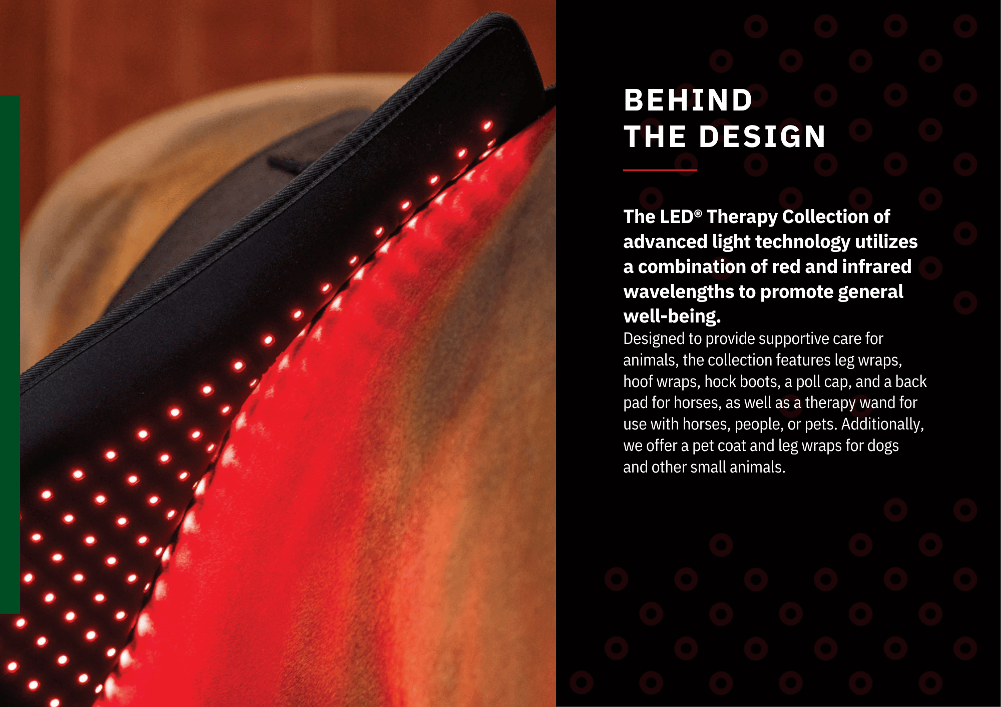 Horseware LED Therapy