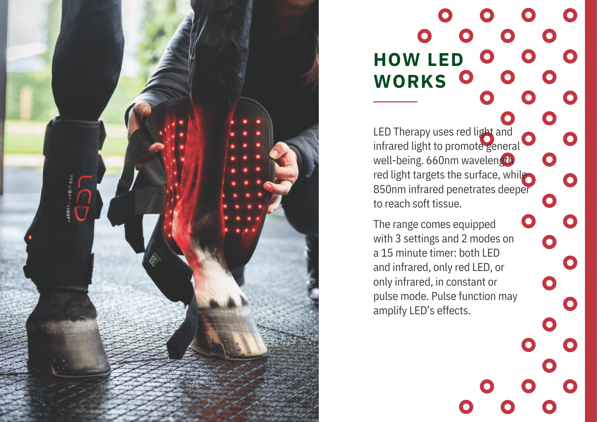 Horseware LED Red Light Therapy