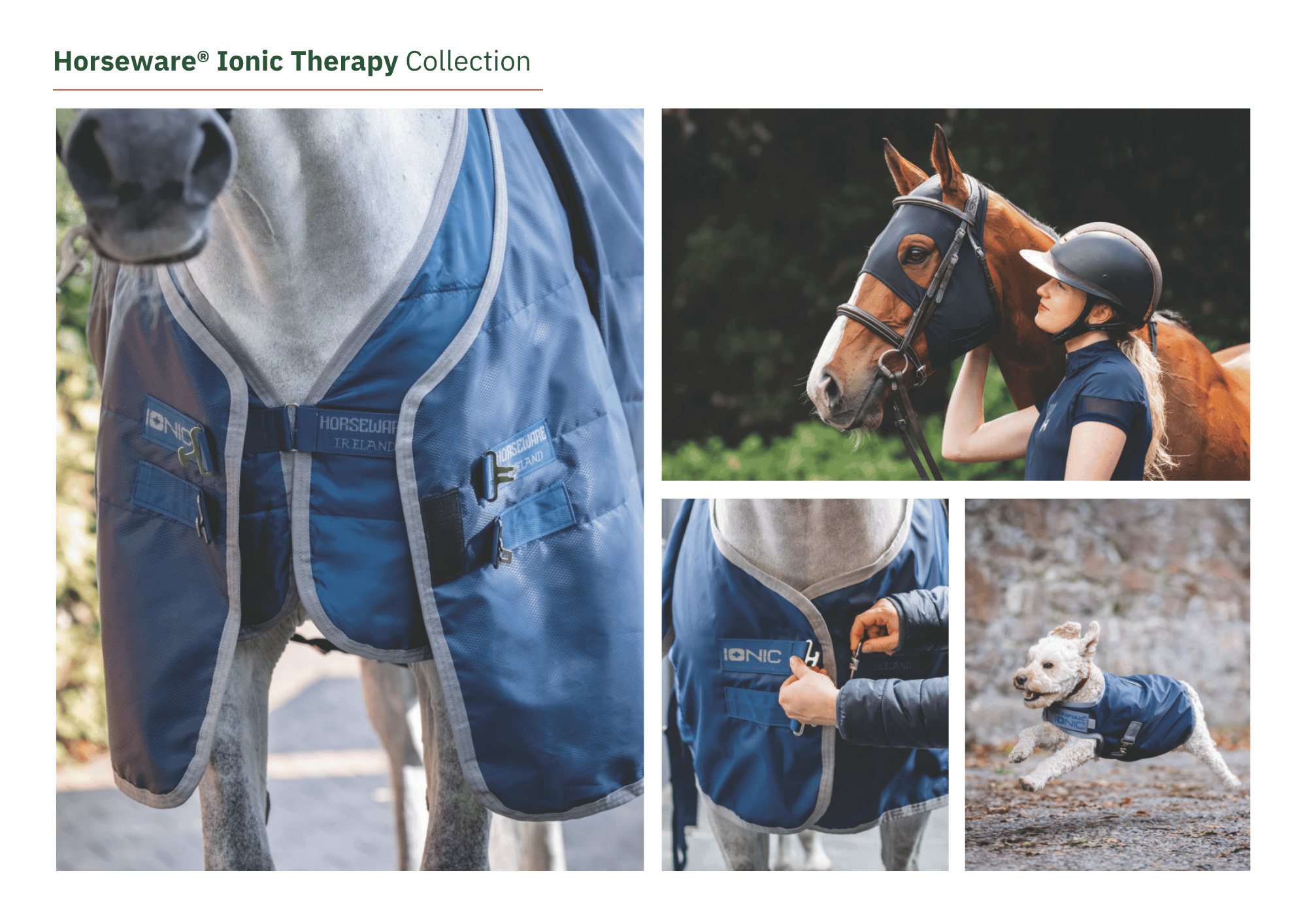 Horseware Ionic Range