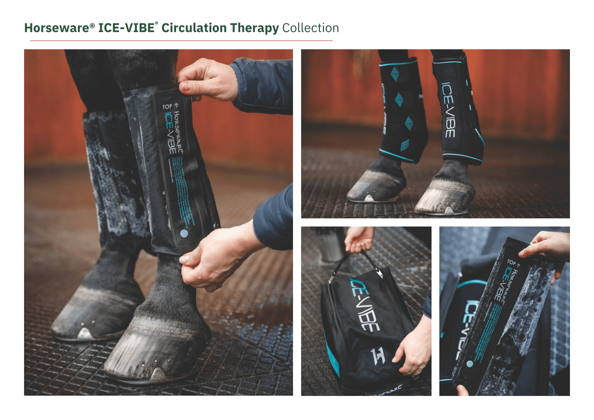Horseware Ice-Vibe Circulation Therapy Collection