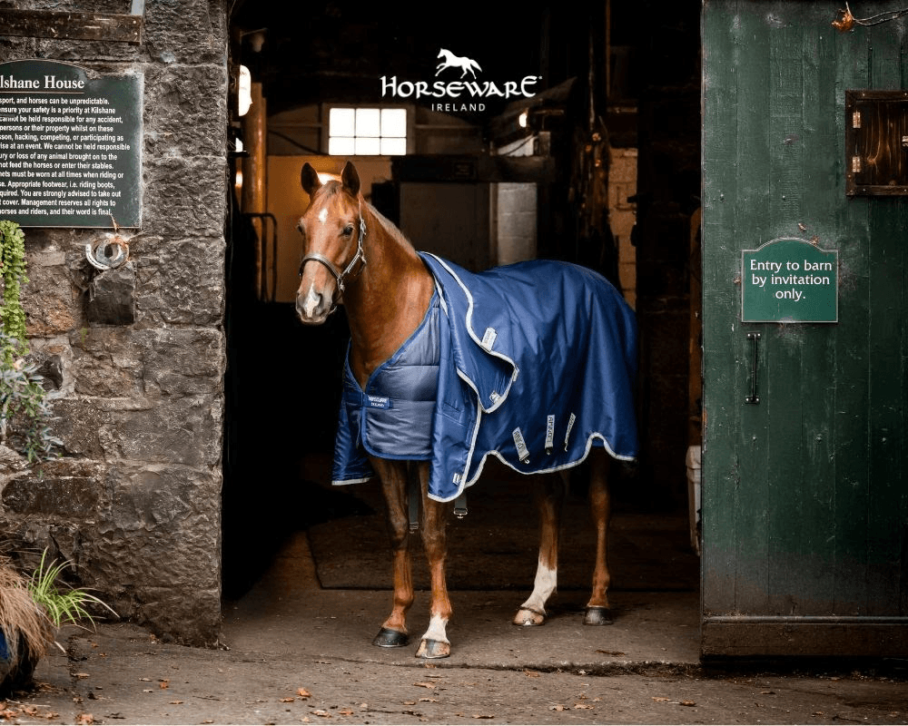 Find the Perfect Blanket for Your Horse Find the Perfect Blanket for Your Horse