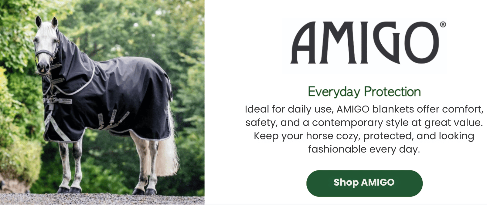 Amigo: Everyday Protection
