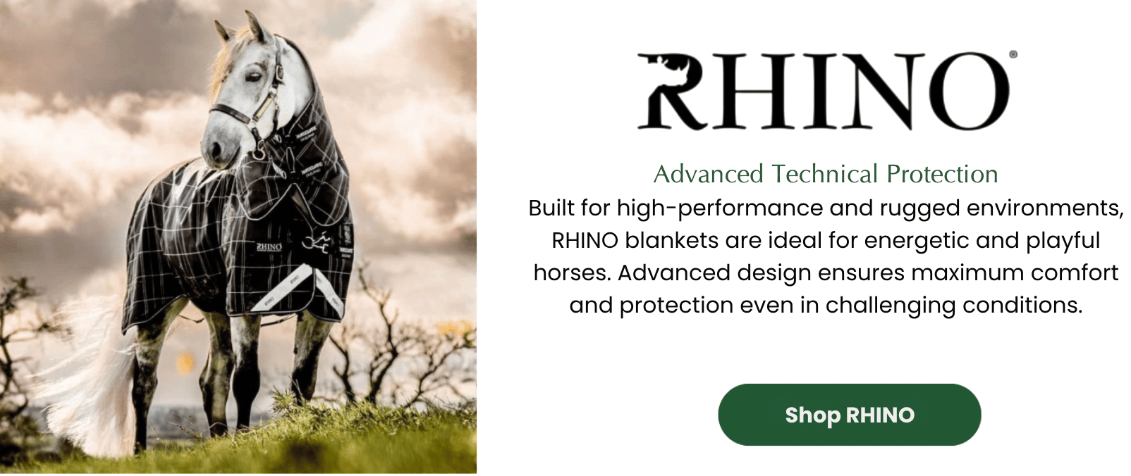 Rhino: Advanced Technical Protection