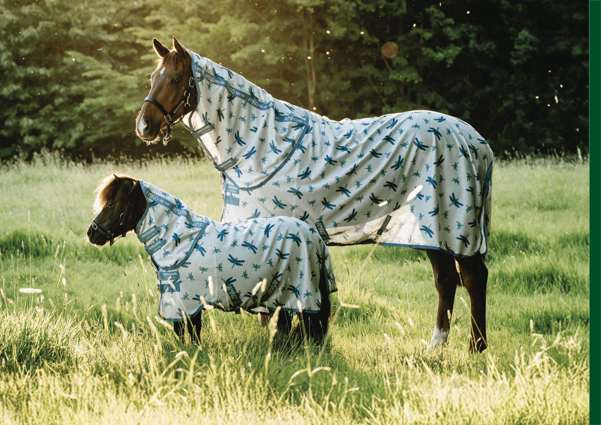 Horseware Spring-Summer 2026 Fly Collection