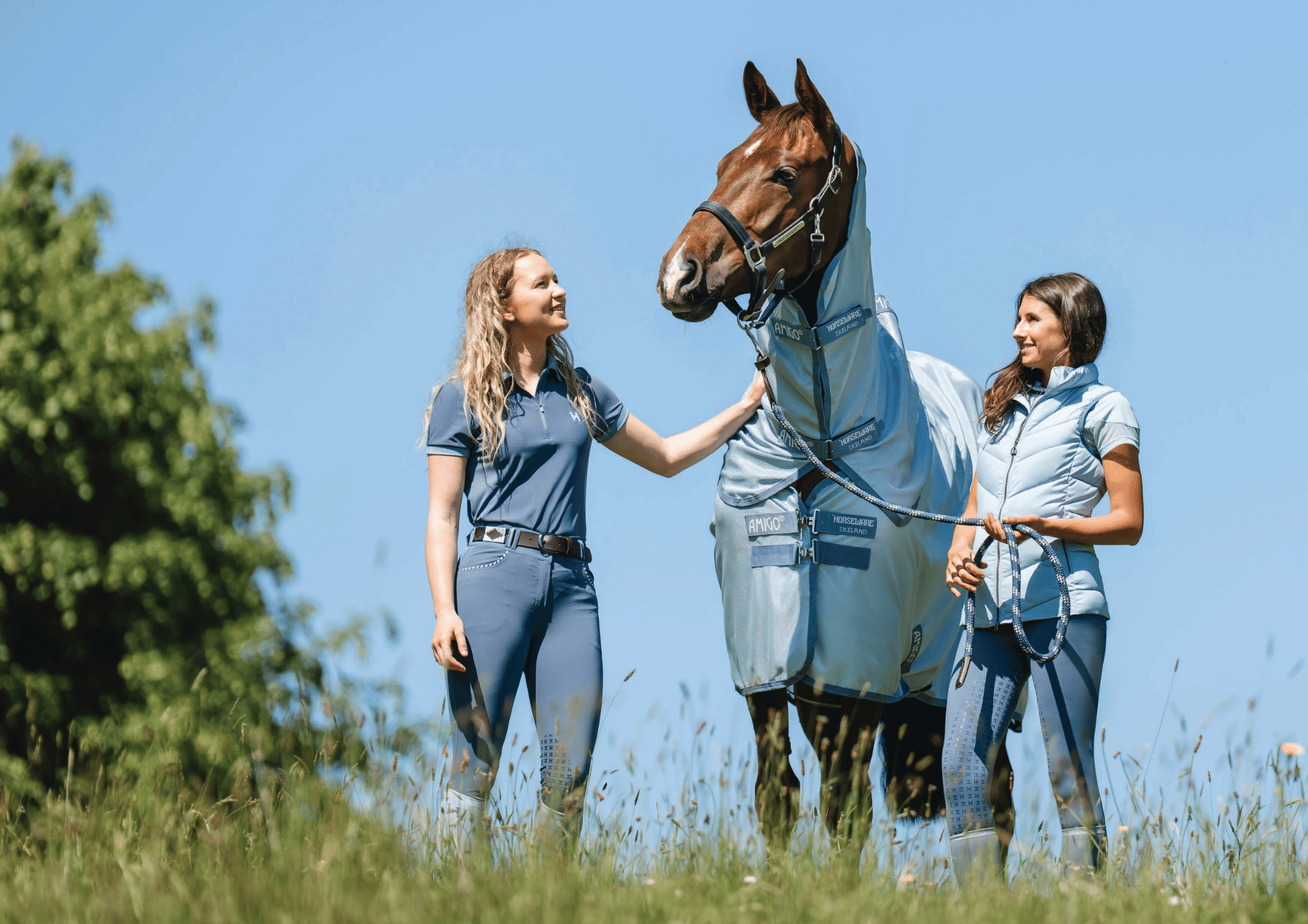 Horseware 2026 Fly Collection