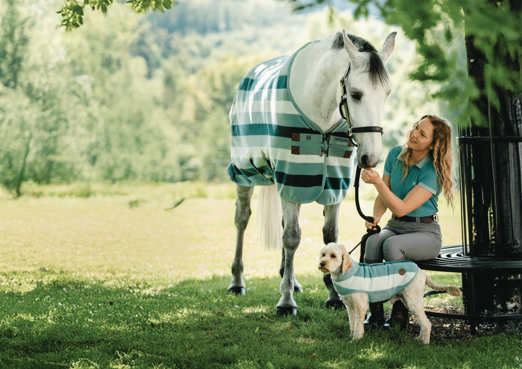 Horseware Newmarket Dynasty Collection