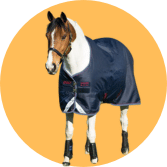 Fly & Stable Sheets