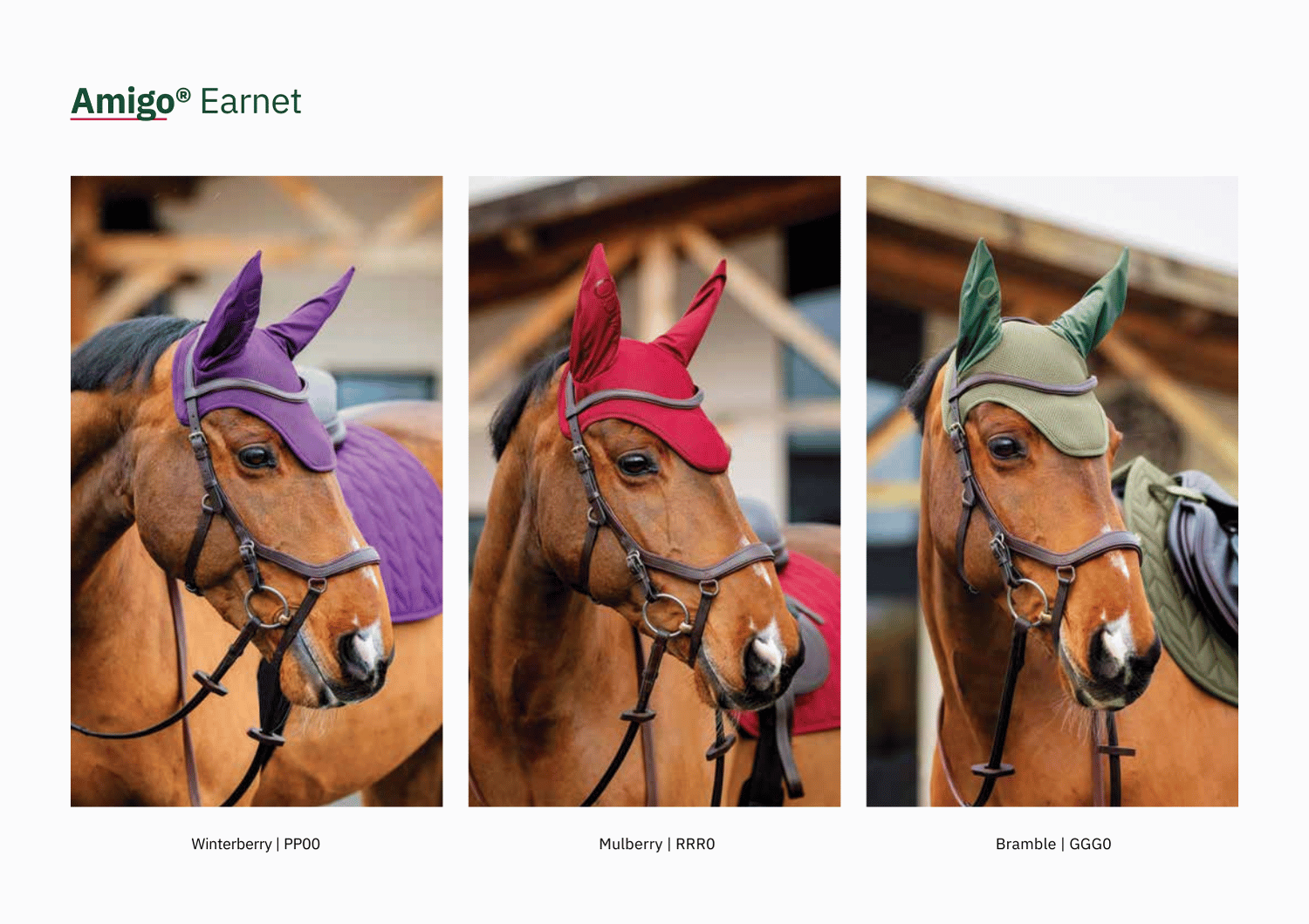 Amigo Earnets