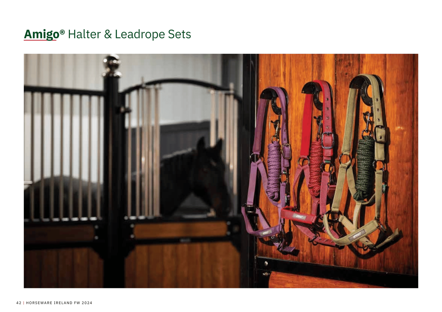 Amigo Halter & Leadrope Sets