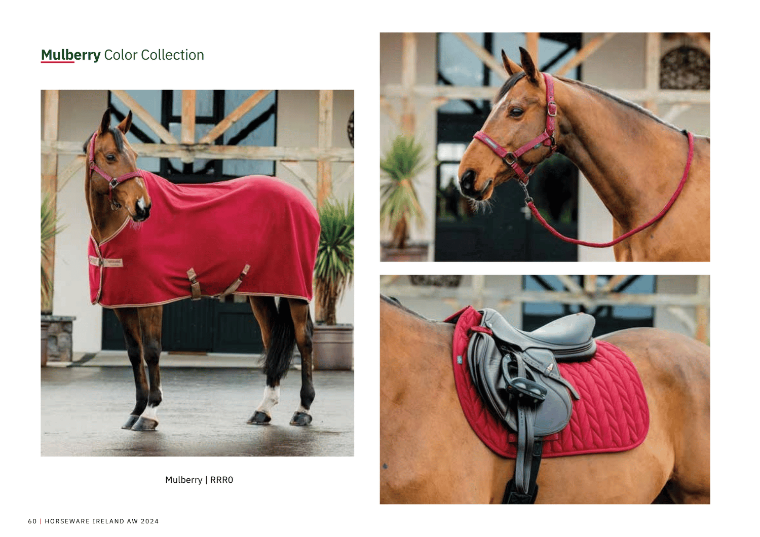 Mulberry Color Collection