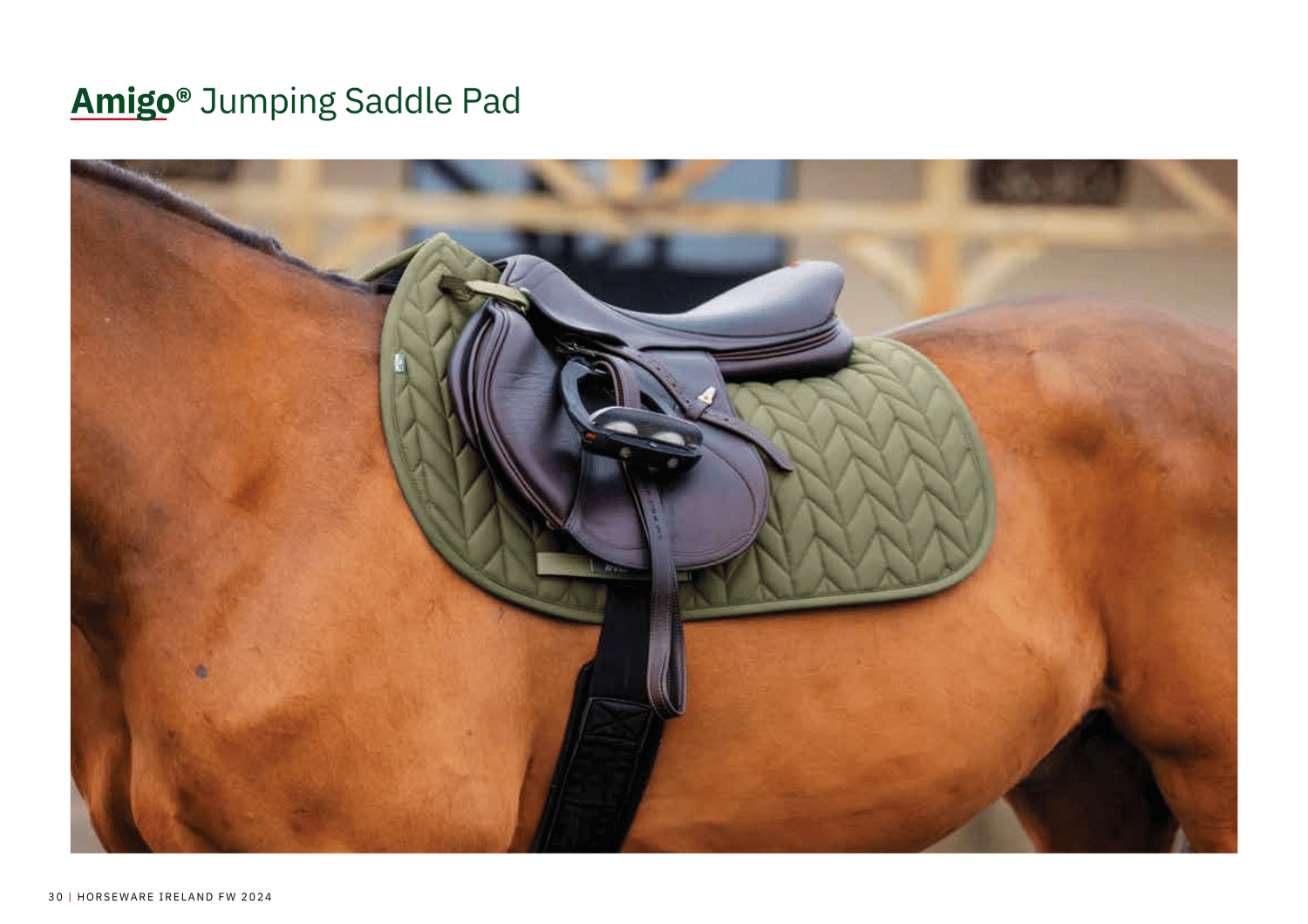 Amigo Jumpling Saddle Pads