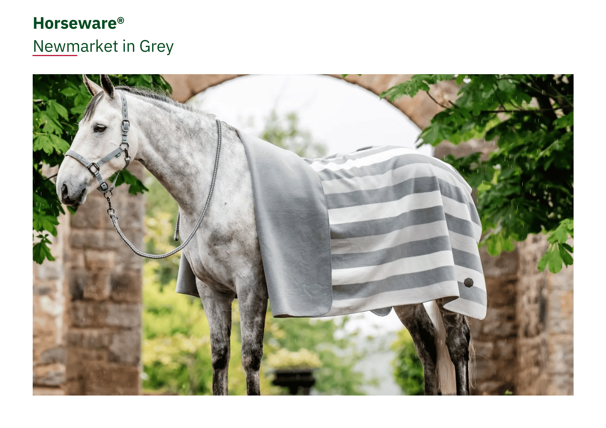 Newmarket - Grey