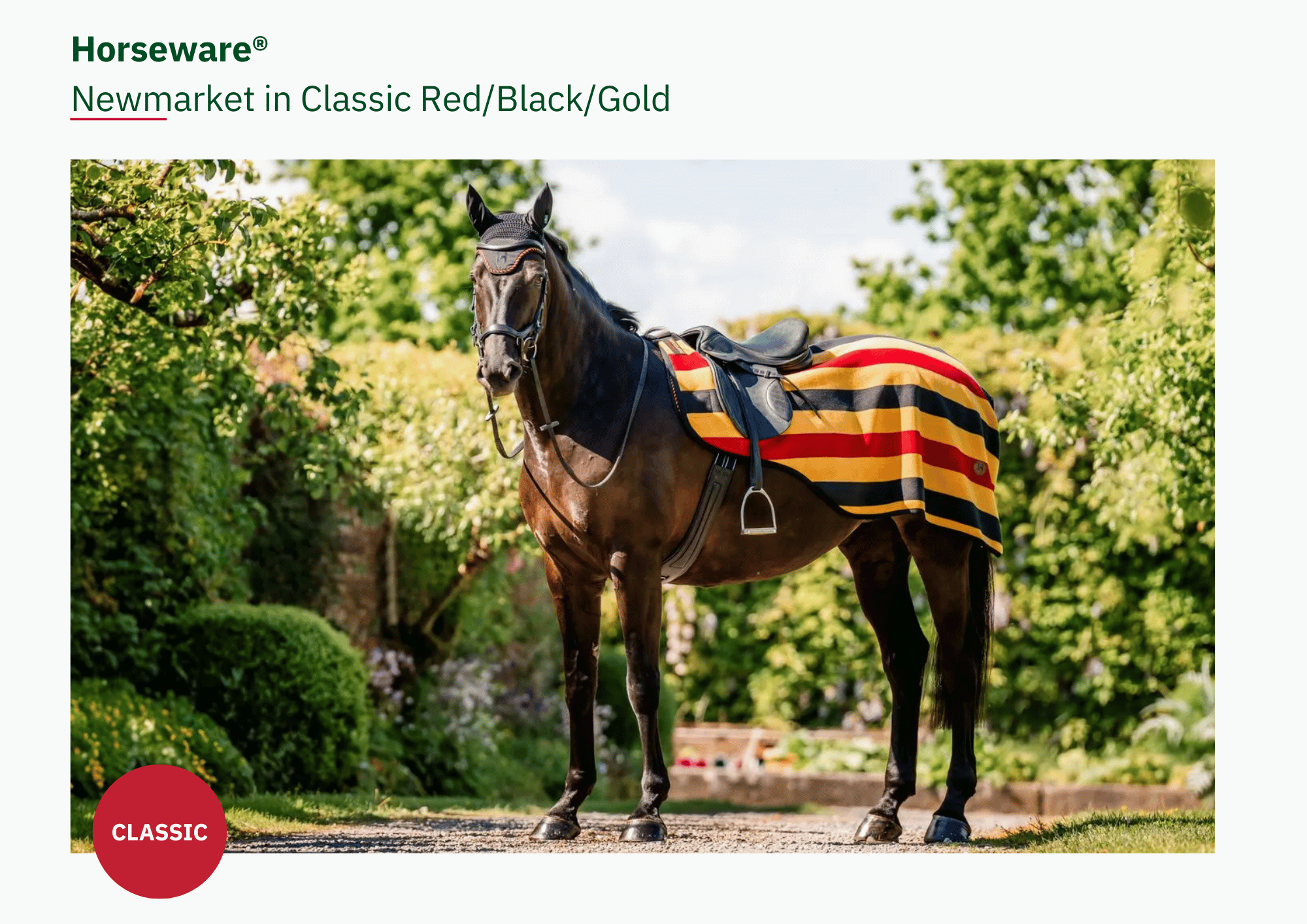 Newmarket - Whitney Gold