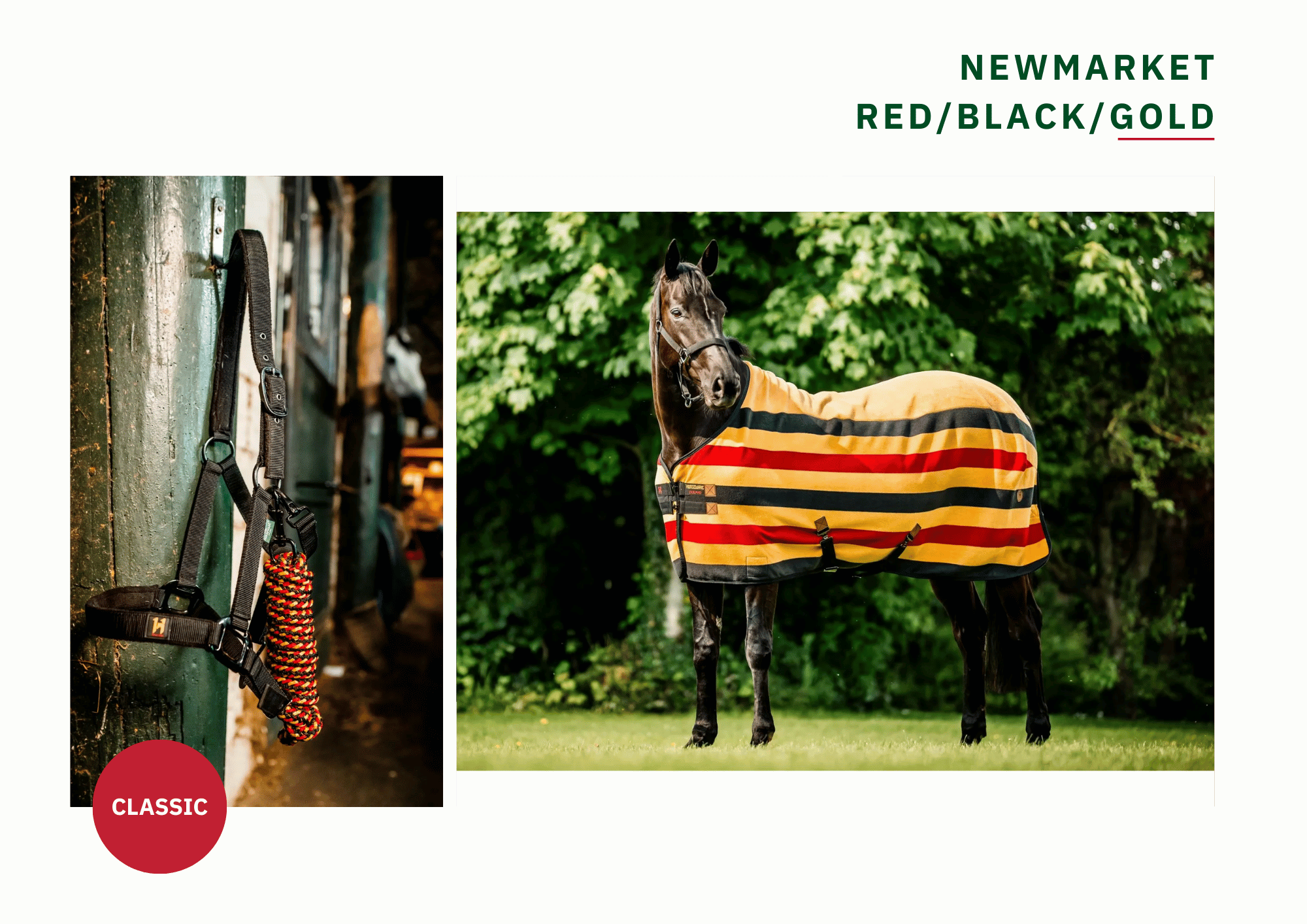 Newmarket - Whitney Gold